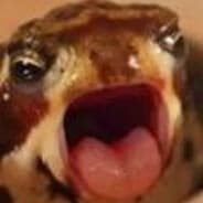 50 50