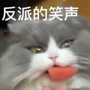 PTSD.打子哥.极冻鹌鹑