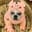 MooBie