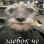 сырок