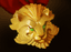 Medallion of Courage (neutral)