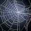 Spin Web